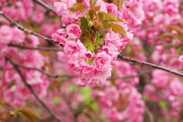 上海浦东区线下个人借款平台一站式服务，轻松解决资金难题
