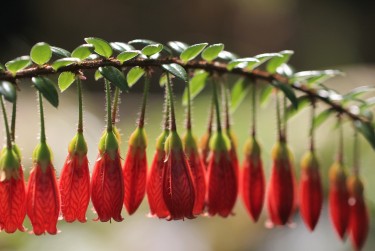 上海浦东区零用贷短借：轻松解决临时资金需求