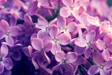 上海浦东区企业急用钱贷款攻略：快速融资解燃眉之急